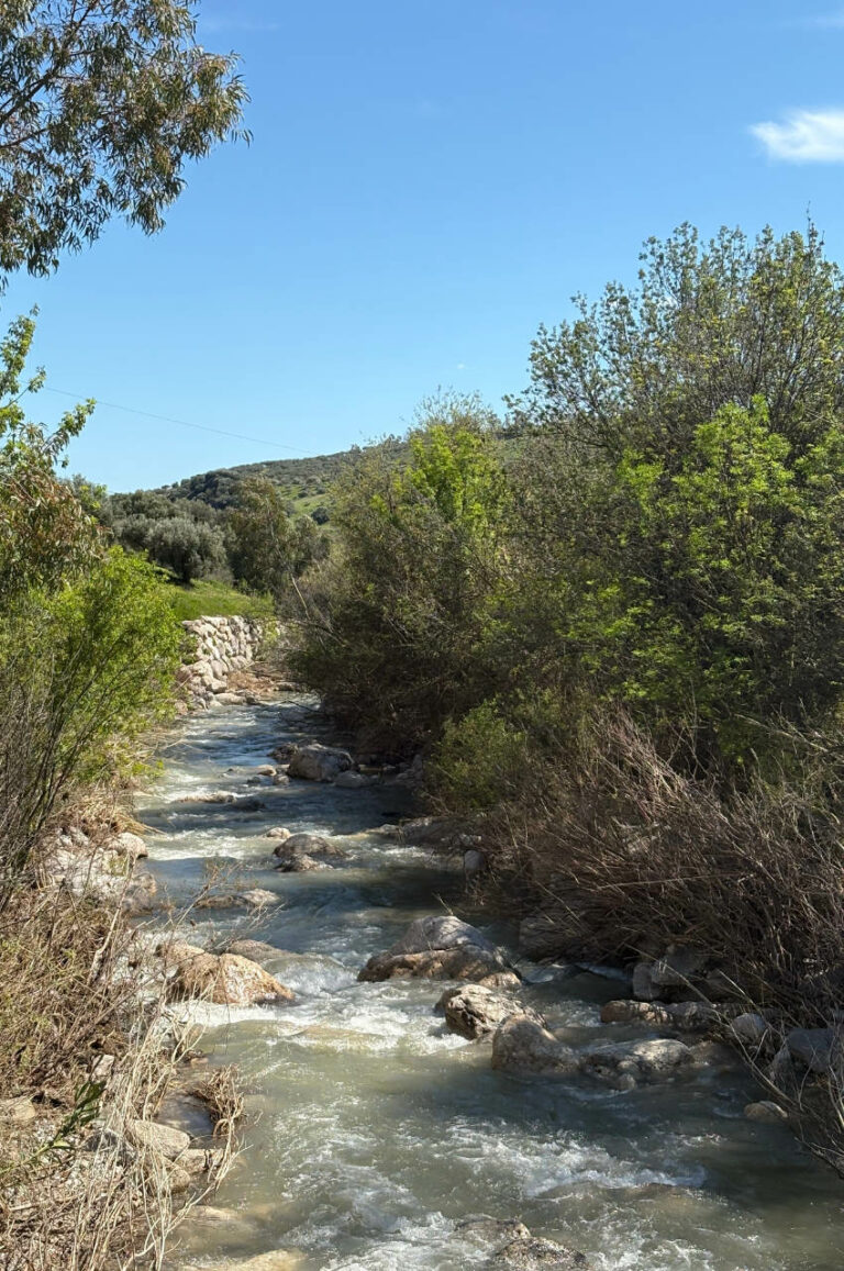 River Guaro — Villa Vilo holiday house, Mondrón (Periana)