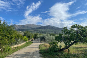 Rutas y senderos desde Villa Vilo